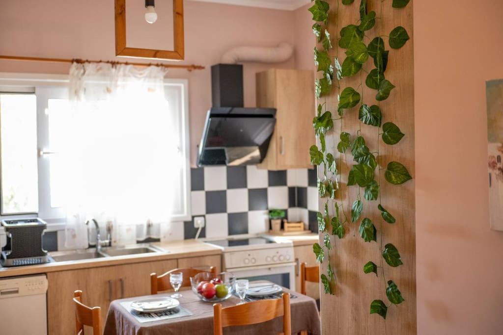 Dream House Apartment Preveza Exterior foto